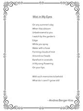Mist in My Eyes