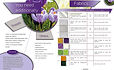 DST_CrocusPillow_requirements_v1.jpg