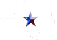 TexasWhiteStar57x40.gif