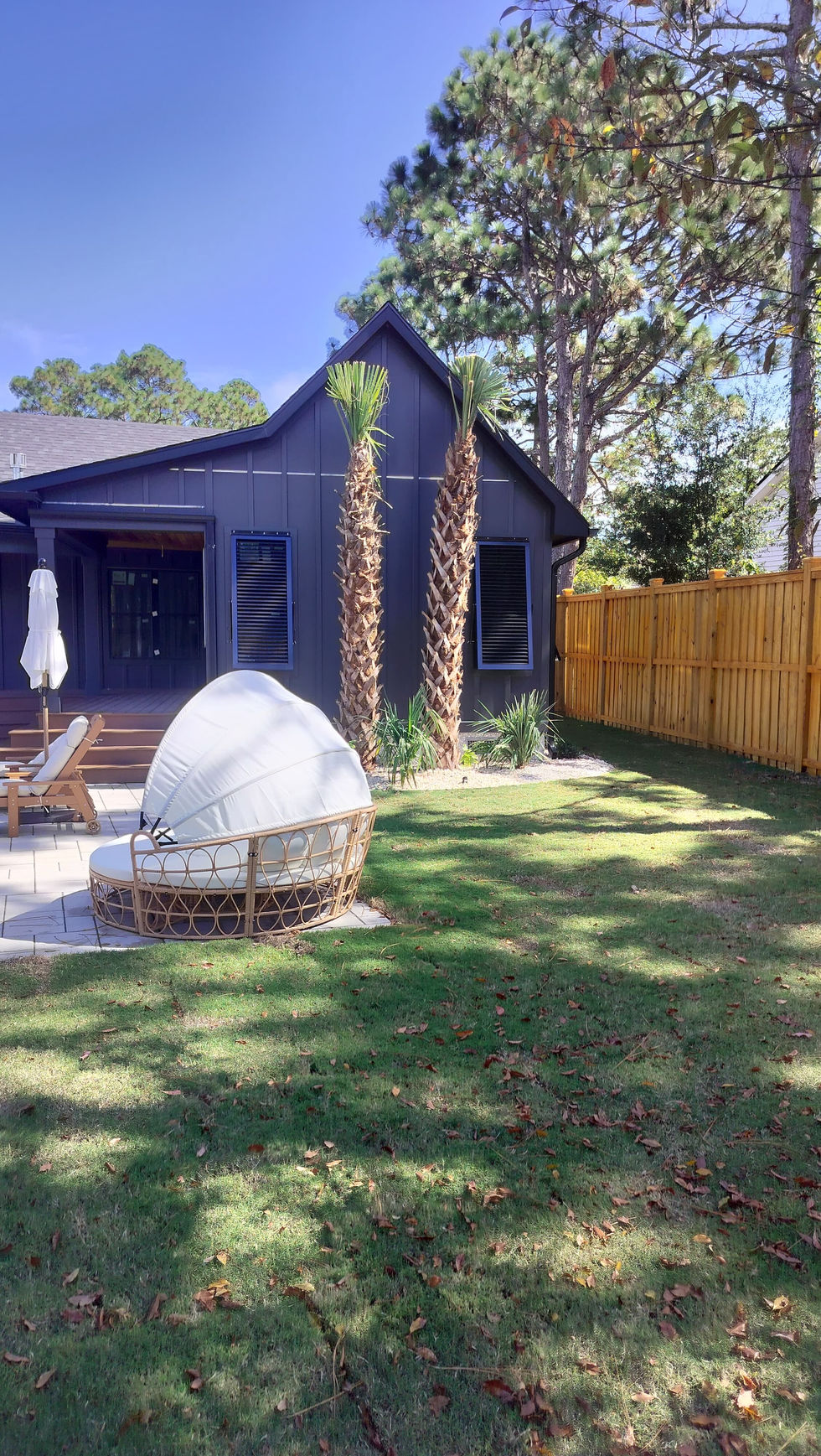 d561c23d-4a47-4578-b792-7859f300cea3