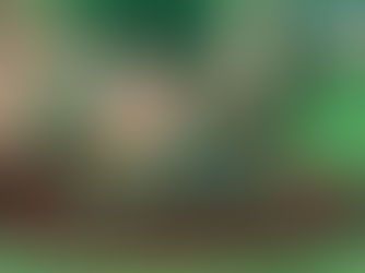 The Ultimate Guide to Mulch Installation in Brunswick County, NC