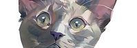 JupiterCats.jpeg