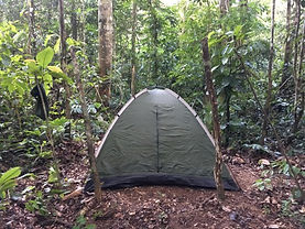 campamento-en-plena-selva.jpg