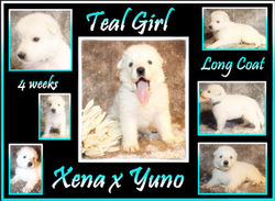 teal girl 4 wks.JPG Resized.jpg
