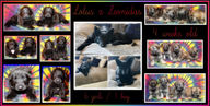 lotus x leo 4 weeks resized.jpg