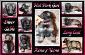 hot pink girl 4 wks.JPG RESIZED.jpg