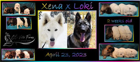 xena x loki 2 wks.jpg