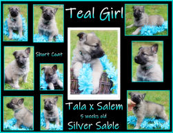 teal girl 5 weeks.JPG