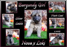 burgundy girl 4 wks R.jpg