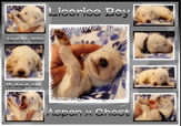 licorice boy 10 days.JPG