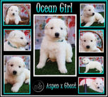 ocean girl 4 weeks.JPG