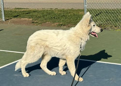 436367399_883935863771241_4737224623889312515_n