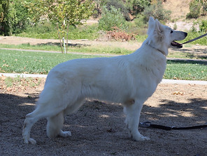 IMG_7882_edited.jpg
