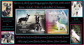 Xena-loki ANNOUCEMENTS.jpg