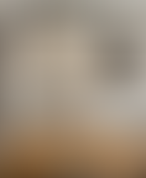 Our monthly agenda to Brussels : the September edition 