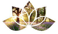 Lotus image trees