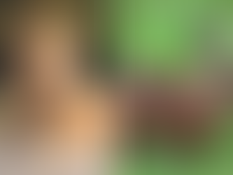 É importante conhecer a diferença entre proteção veicular e seguro...