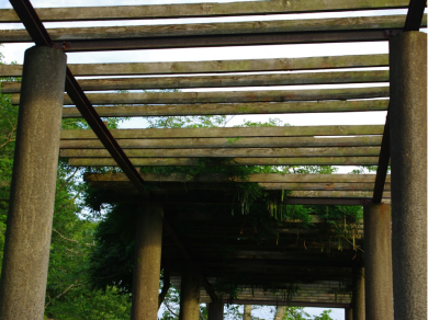 Pergola Covered Deck