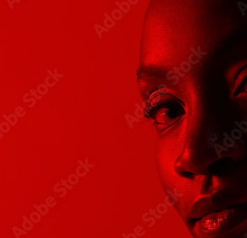 The Watermelon Woman (1996) by Hailey M. Young