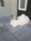 20210122_110928.jpg