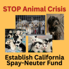 ACT NOW: Establish a Long Overdue California Spay Neuter Fund! 