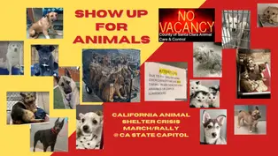 Legislative Rally for Animals