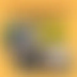 ACT NOW: Illegal Breeding Regulations for San Jose 