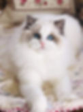 received_153296129814628.jpeg