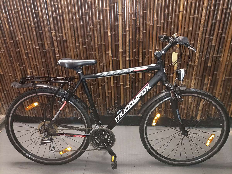 MUDDUFOX TEMPO 200 Trekkingbike 28", 21 Gänge, RH 57, neuwertig