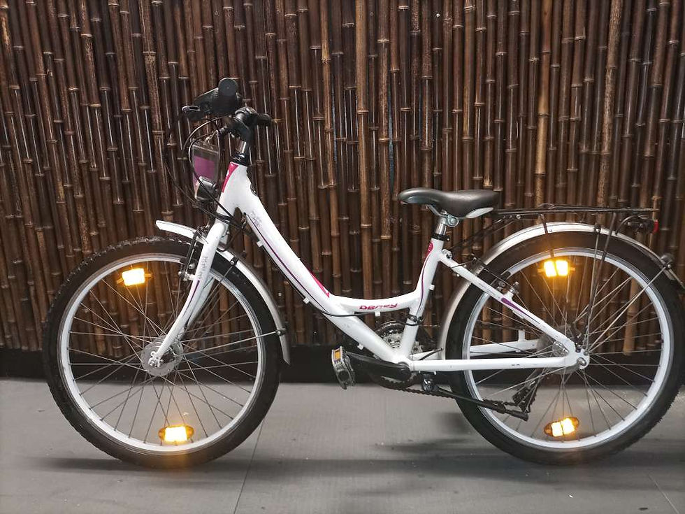 Decsy Citybike 24 Zoll – mit Nabendynamo & Garantie