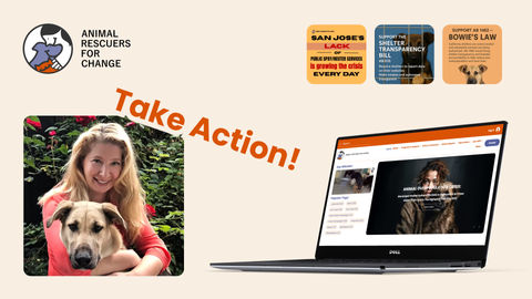 Animal Rescues for Change Take Action
