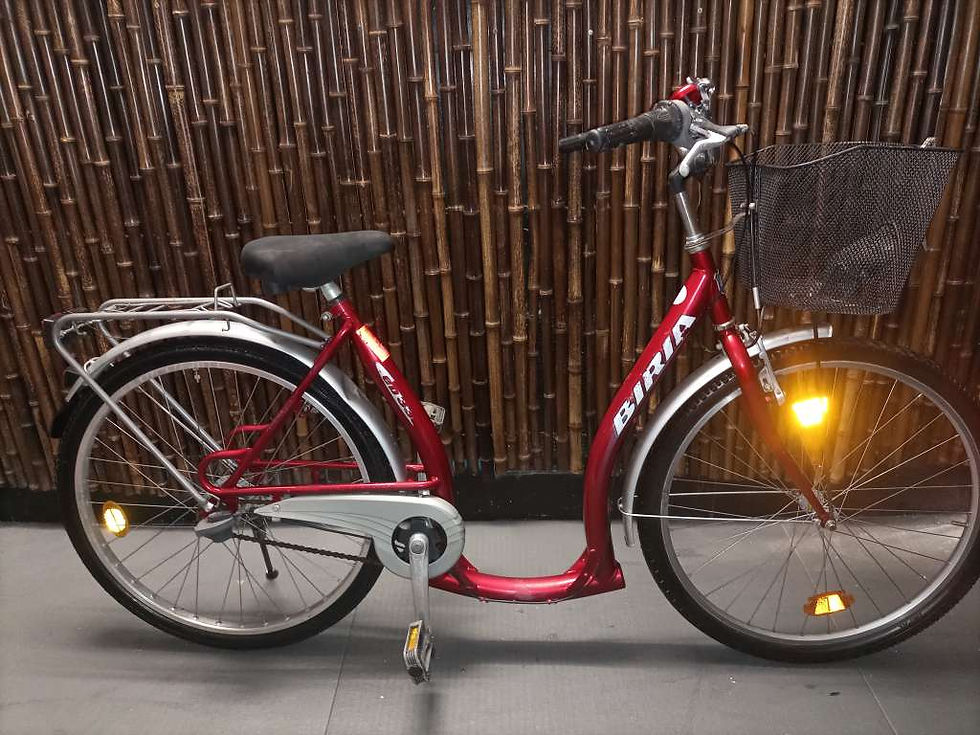 Biria Citybike 26 Zoll – 5 Gänge, mit Garantie