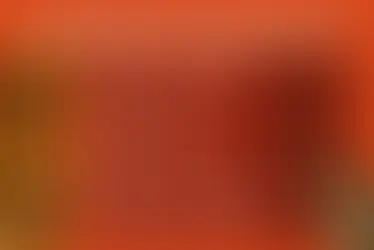 Dead Bills, Dying Animals: How Legislative Inaction Failed California’s Pets: A Missed Opportunity for Prevention – Bills For Animals that never became LAW