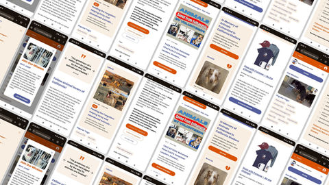 Animal Rescues for Change Mobile Screens