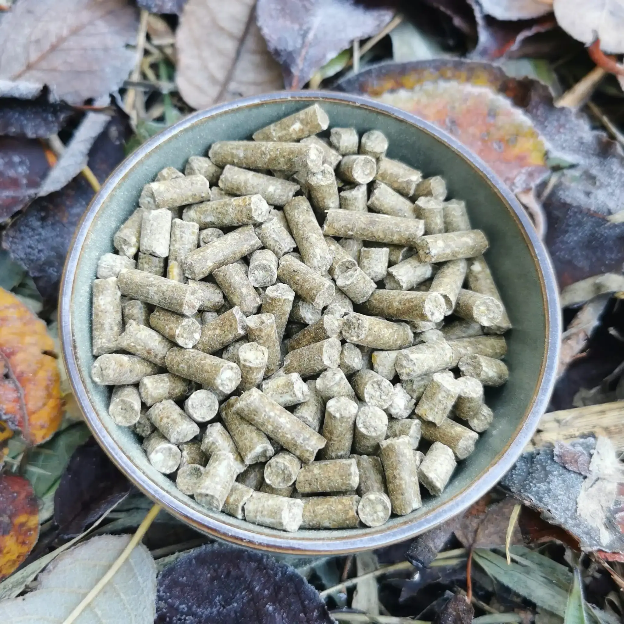 Pellets bio pour moutons