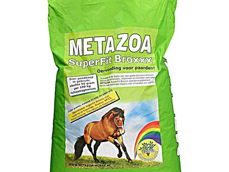 Metazoa