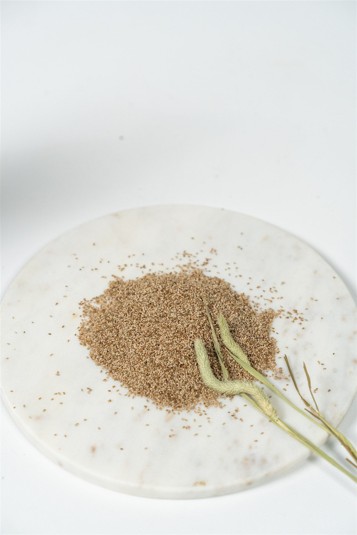 Timothy seed 500gr