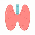 02_SchilddrueseFirefly_a comic depicition of the thyroid 934393.jpg