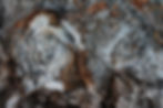piqsels.com-id-szduv.jpg