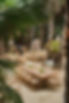 ZF1_0572_websize.jpg