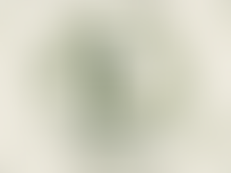 Curso de Fitoterapia Online: Como Funciona o Curso EAD de Fitoterapia Brasileira