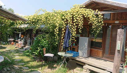 DSC_1412.JPG