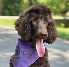 unityservicedog