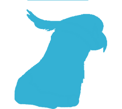 New Project (11).png