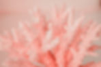 AdobeStock_249526426.jpeg