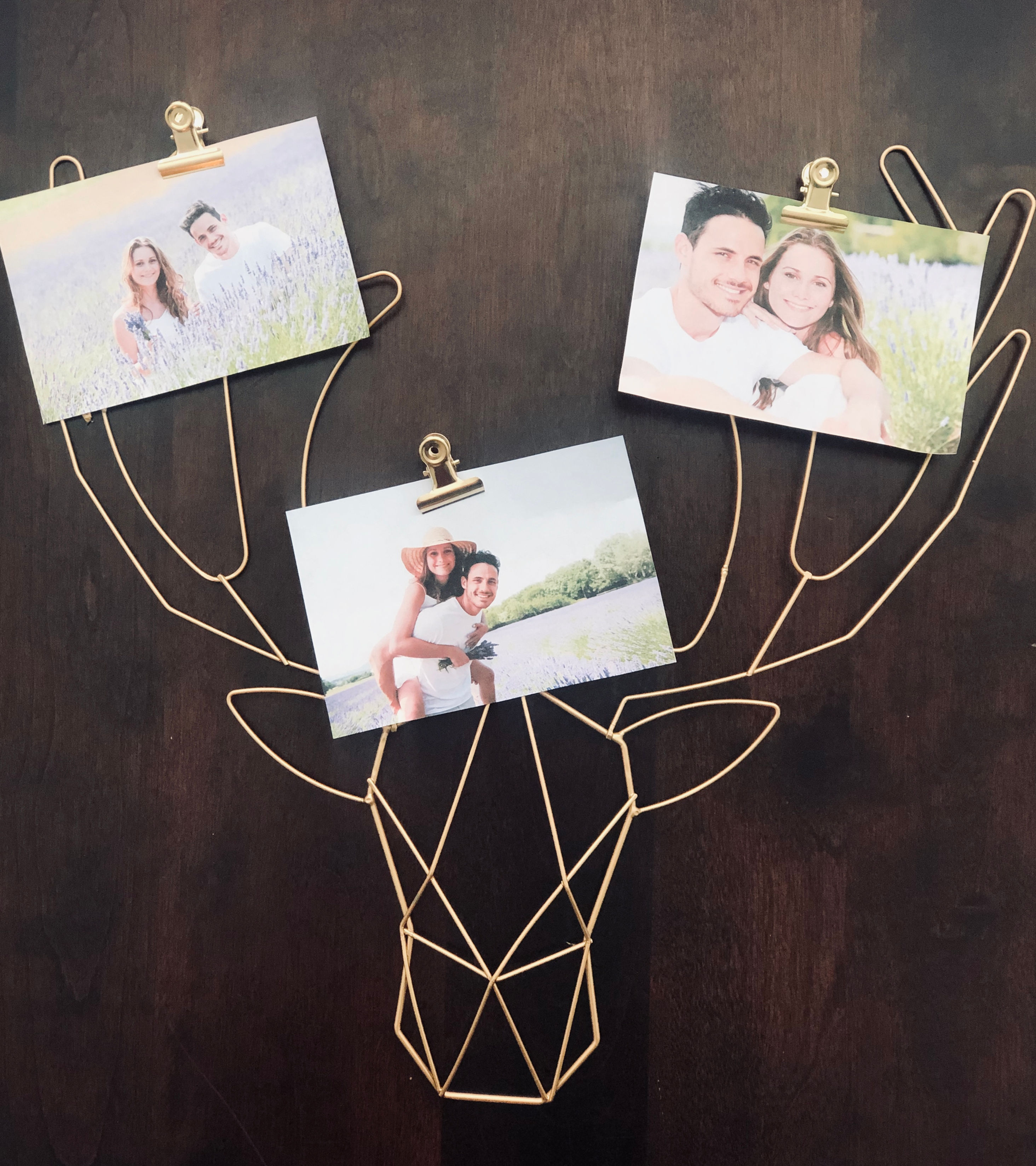 Deer Wire Photo Holder