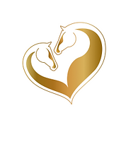 LOGO OR CHOISI txt blanc.png