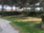 Emplacement (1)