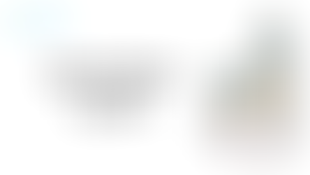 Quantized Large Language Model