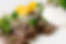 Rosa gebratenes Roastbeef vom Kalb.jpg